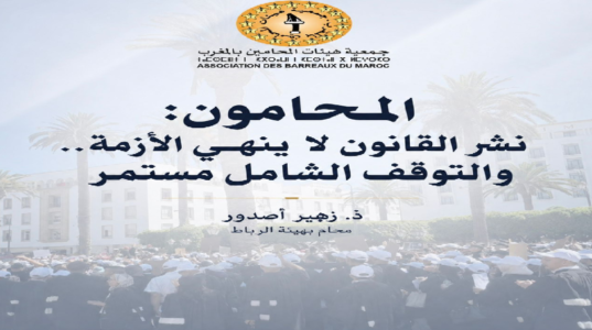 المحامون: نشر القانون لا ينهي الأزمة.. والتوقف الشامل مستمر