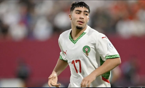 سبورتينغ لشبونة يستعيد منصف زكري بعد تعافيه من الإصابة